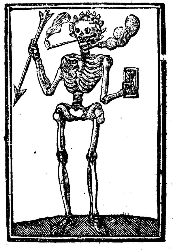 Skeleton
