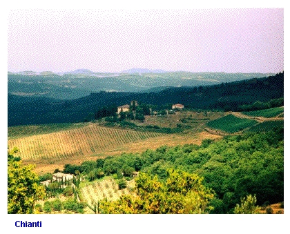 Chianti Vineyards